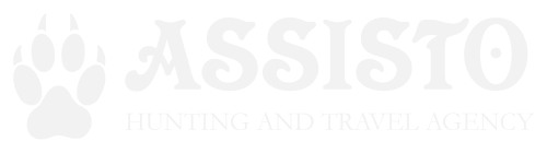 Logo-ASSISTO-eng-white